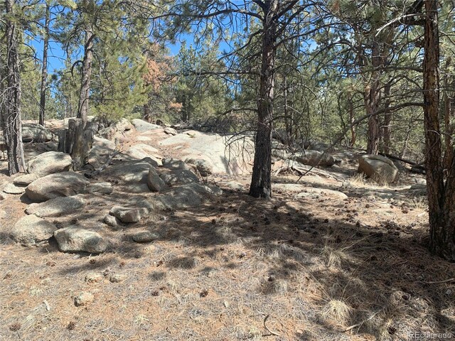 173 Crescent Dr, Florissant, CO 80816