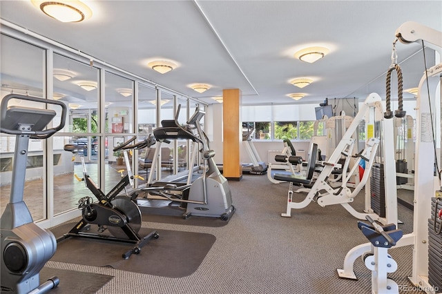 1196 N Grant St Unit 106, Denver, CO 80203 - view of gym