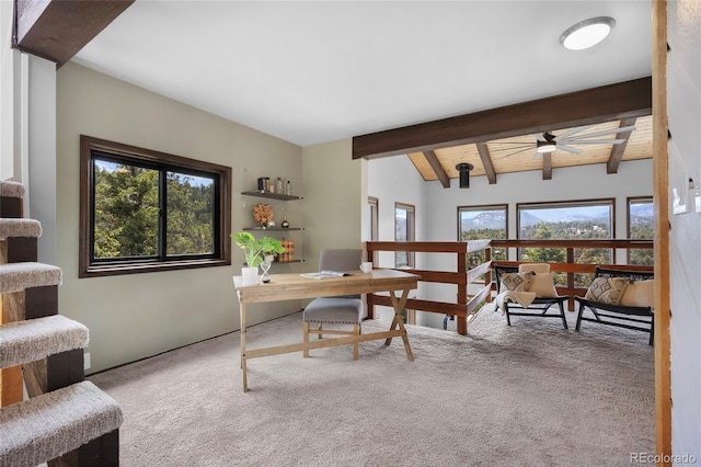 4477 Independence Trl, Evergreen, CO 80439 - office with plenty of natural light, carpet floors, and a ceiling fan