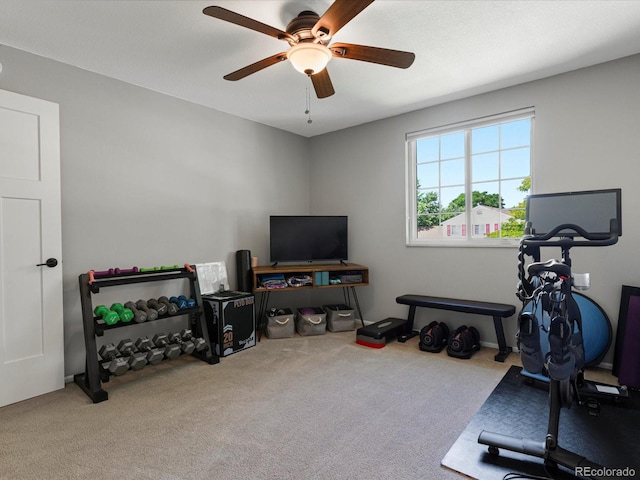 7554 S Ogden Way, Centennial, CO 80122 - workout room with carpet floors and ceiling fan