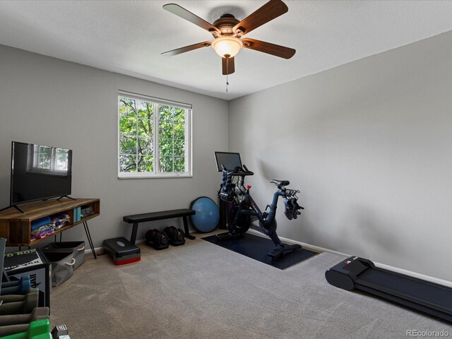 7554 S Ogden Way, Centennial, CO 80122 - exercise room featuring carpet floors and a ceiling fan