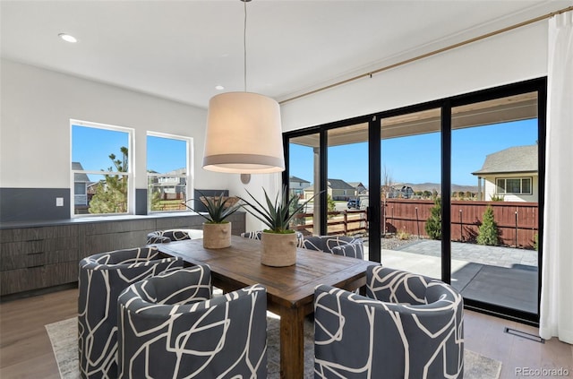 dining room with light hardwood / wood-style flooring and a wealth of natural light