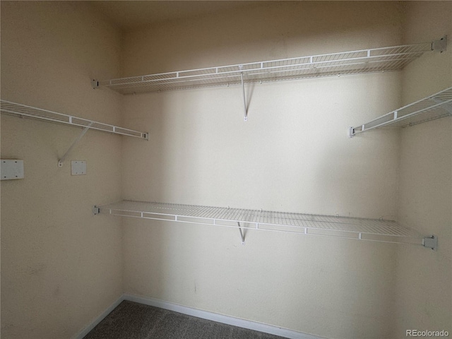 walk in closet with carpet