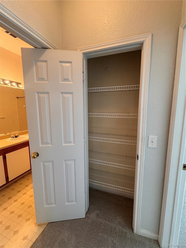 closet featuring visible vents and a sink