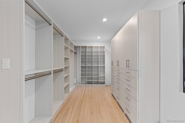 spacious closet with light wood-style flooring