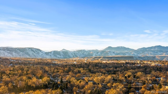 view of mountain feature featuring a view of trees