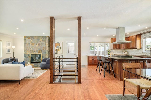 3025 S Norman Ct, Denver, CO 80224 - living room with light wood finished floors, ornamental molding, recessed lighting, and a fireplace