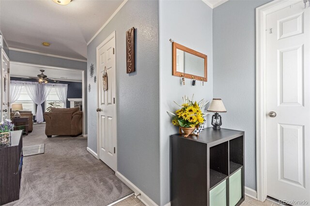 249 Vista Blvd, Brighton, CO 80603 - photo 6