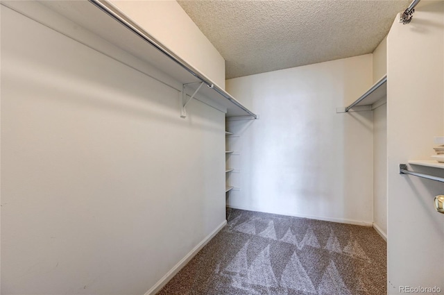 spacious closet with carpet floors