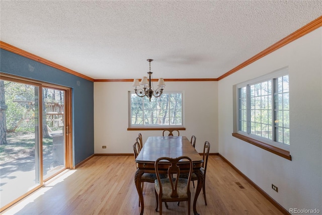2045 Pine Wood Rd, Sedalia, CO 80135 - photo 8