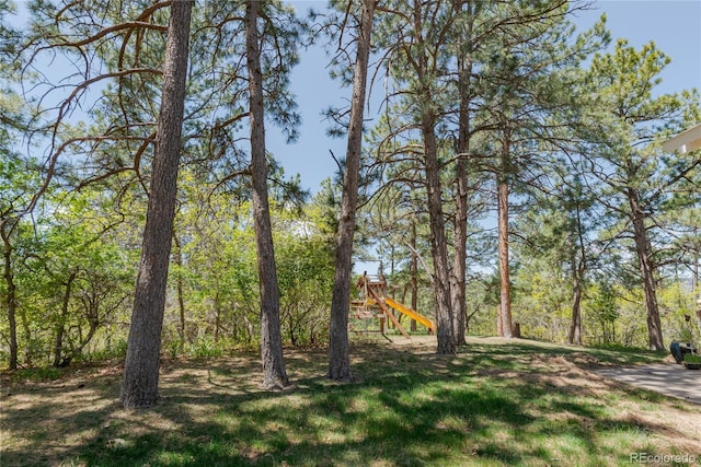 2045 Pine Wood Rd, Sedalia, CO 80135 - photo 33