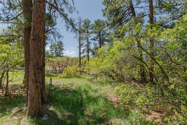 2045 Pine Wood Rd, Sedalia, CO 80135 - photo 34