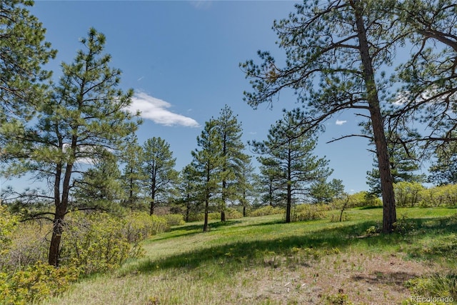 2045 Pine Wood Rd, Sedalia, CO 80135 - photo 35