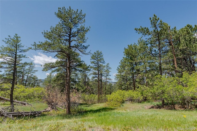2045 Pine Wood Rd, Sedalia, CO 80135 - photo 36