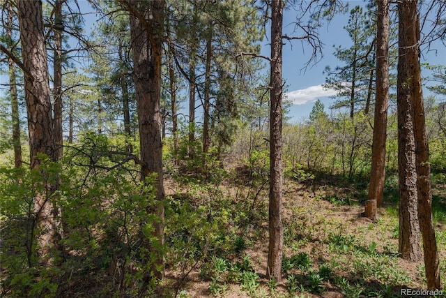 2045 Pine Wood Rd, Sedalia, CO 80135 - photo 37