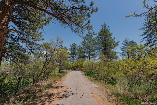 2045 Pine Wood Rd, Sedalia, CO 80135 - photo 40