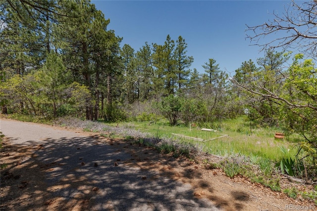 2045 Pine Wood Rd, Sedalia, CO 80135 - photo 41