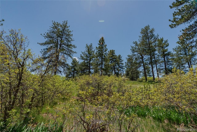 2045 Pine Wood Rd, Sedalia, CO 80135 - photo 42