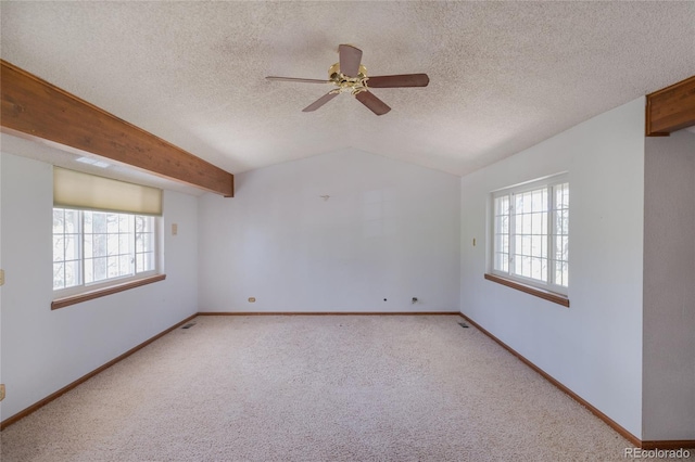 2045 Pine Wood Rd, Sedalia, CO 80135 - photo 18