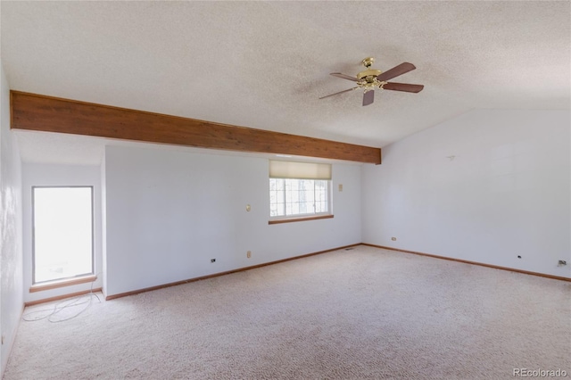 2045 Pine Wood Rd, Sedalia, CO 80135 - photo 19