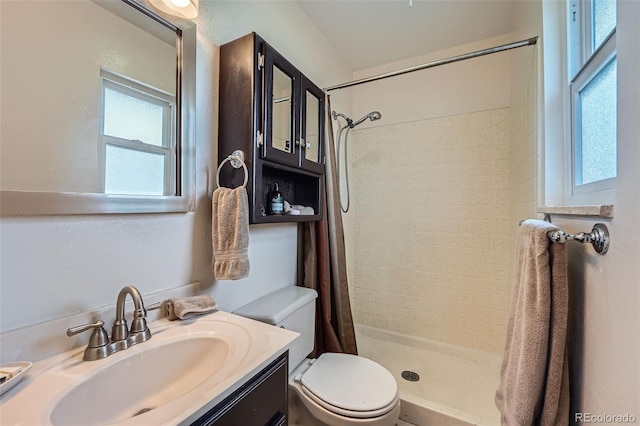 full bathroom with toilet, a shower stall, and vanity