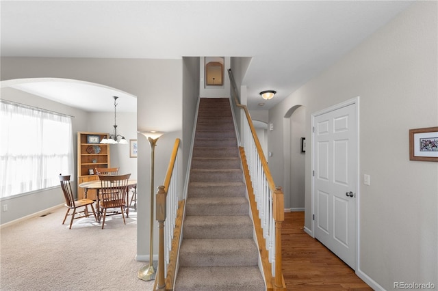 staircase featuring carpet