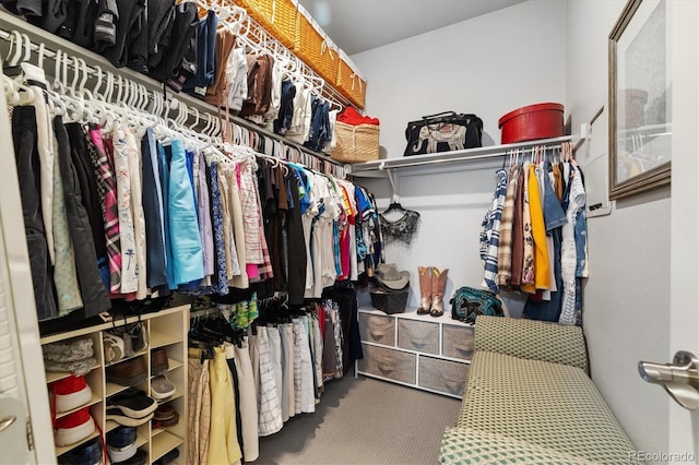 walk in closet with carpet floors