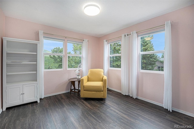 9075 Jill Dr, Conifer, CO 80433 - living area featuring baseboards and dark wood-style flooring