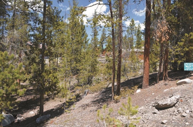 917 Tallaqua Dr, Grand Lake, CO 80447 - photo 4