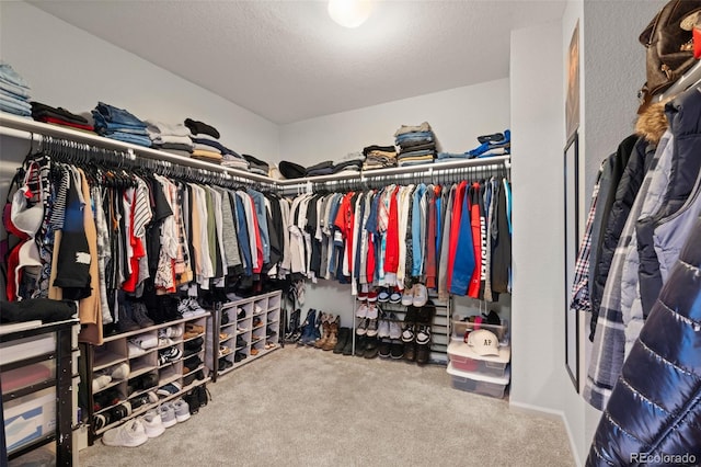 spacious closet with carpet