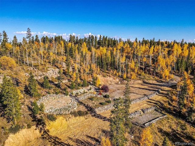 464 County Road 854, Tabernash, CO 80478