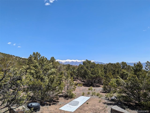 52700 County Road Ll56, Villa Grove, CO 81155 - photo 36