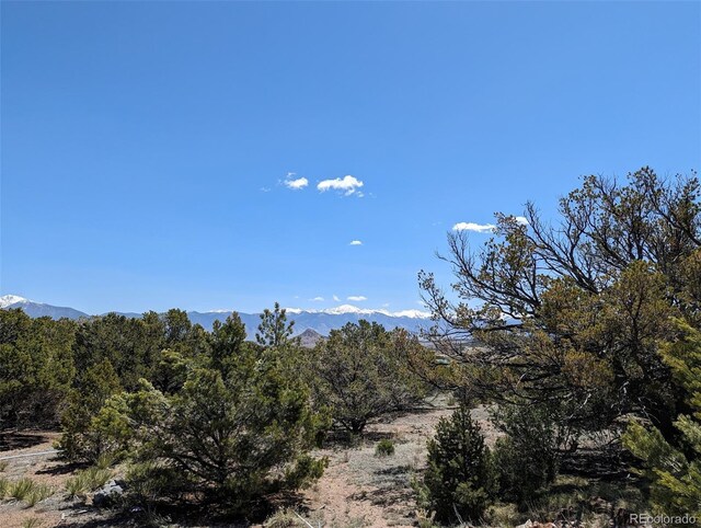 52700 County Road Ll56, Villa Grove, CO 81155 - photo 37