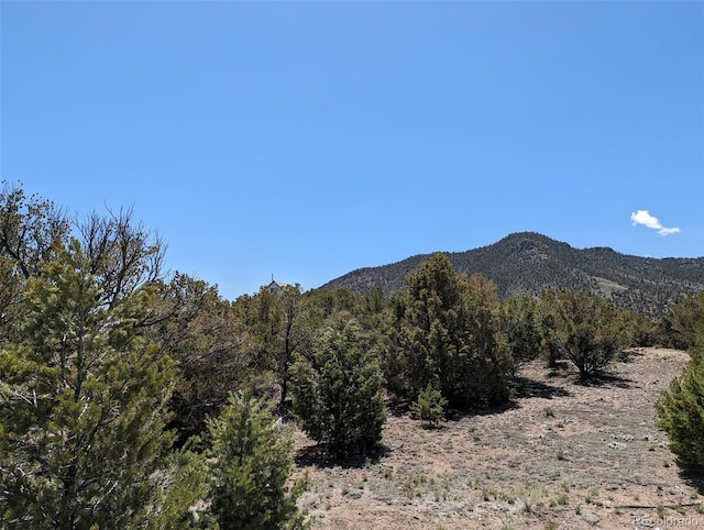52700 County Road Ll56, Villa Grove, CO 81155 - photo 38