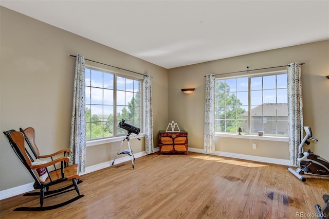 sitting room featuring light hardwood / wood-style flooring