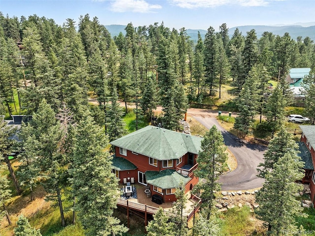 27805 Mariposa Rd, Evergreen, CO 80439 - photo 6