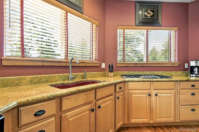 27805 Mariposa Rd, Evergreen, CO 80439 - photo 21