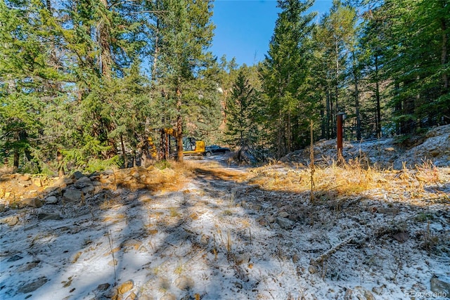 Listing photo 3 for 1150 Fall River Rd, Idaho Springs CO 80452