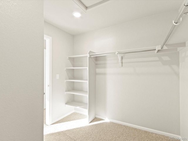 walk in closet with light colored carpet