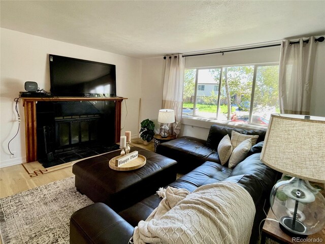 4934 S Flower Way, Littleton, CO 80123 - living room featuring wood finished floors, a high end fireplace, and baseboards