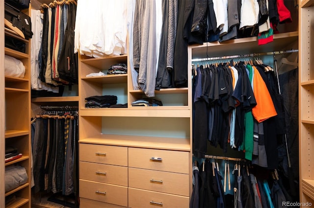 view of spacious closet