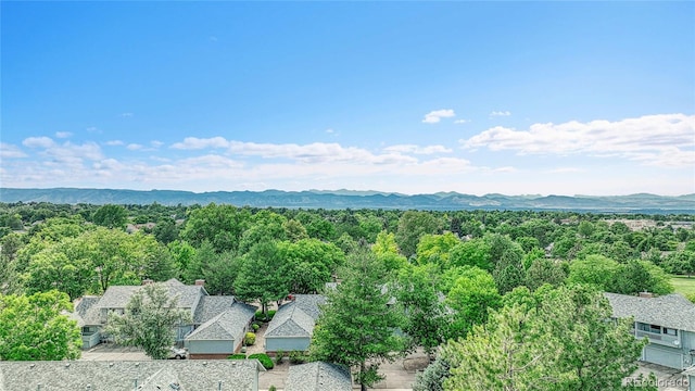 3127 E Long Cir, Centennial, CO 80122 - photo 30