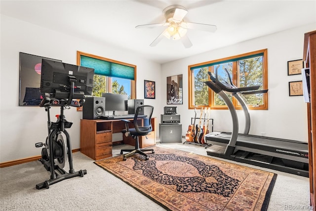 6252 King Dr, Evergreen, CO 80439 - office space featuring carpet flooring, ceiling fan, and baseboards