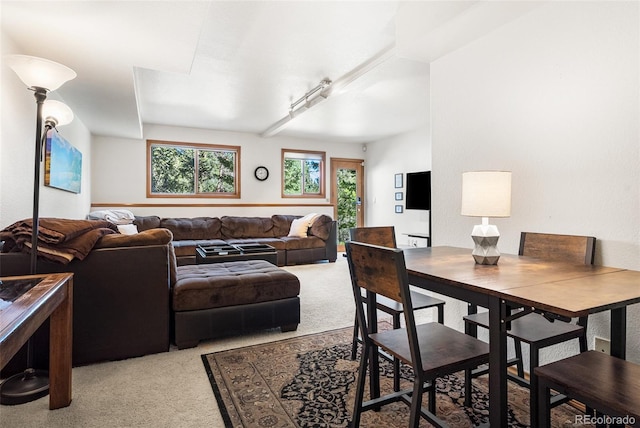 6252 King Dr, Evergreen, CO 80439 - view of carpeted living room
