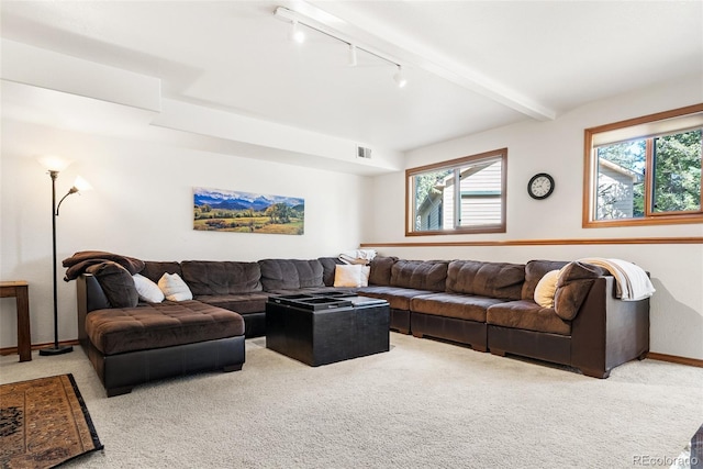 6252 King Dr, Evergreen, CO 80439 - carpeted living room featuring track lighting and baseboards