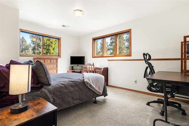 6252 King Dr, Evergreen, CO 80439 - bedroom featuring carpet floors, a desk, and baseboards
