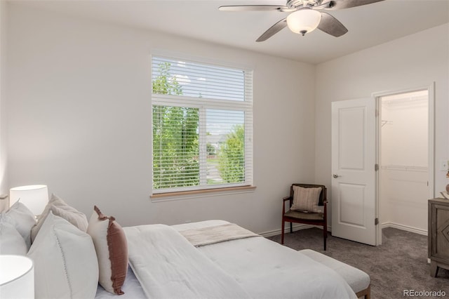 332 N Parkside Dr Unit C, Longmont, CO 80501 - carpeted bedroom with a ceiling fan