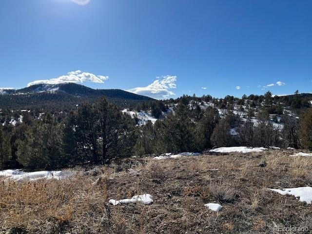 3500 Indian Wells Rd, Texas Creek CO, 81223 land for sale