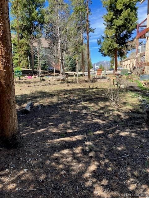 870 Ferret Ln, Fraser, CO 80442