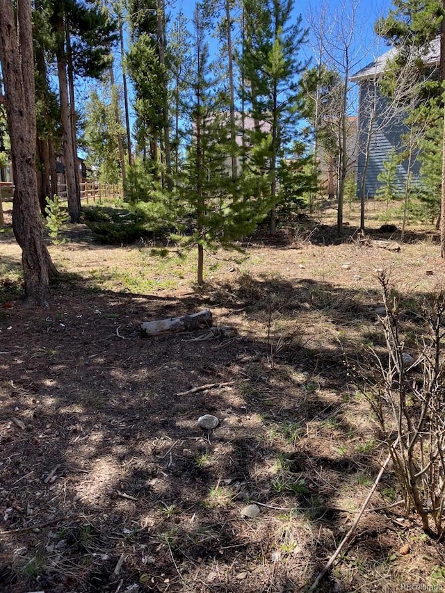 870 Ferret Ln, Fraser, CO 80442